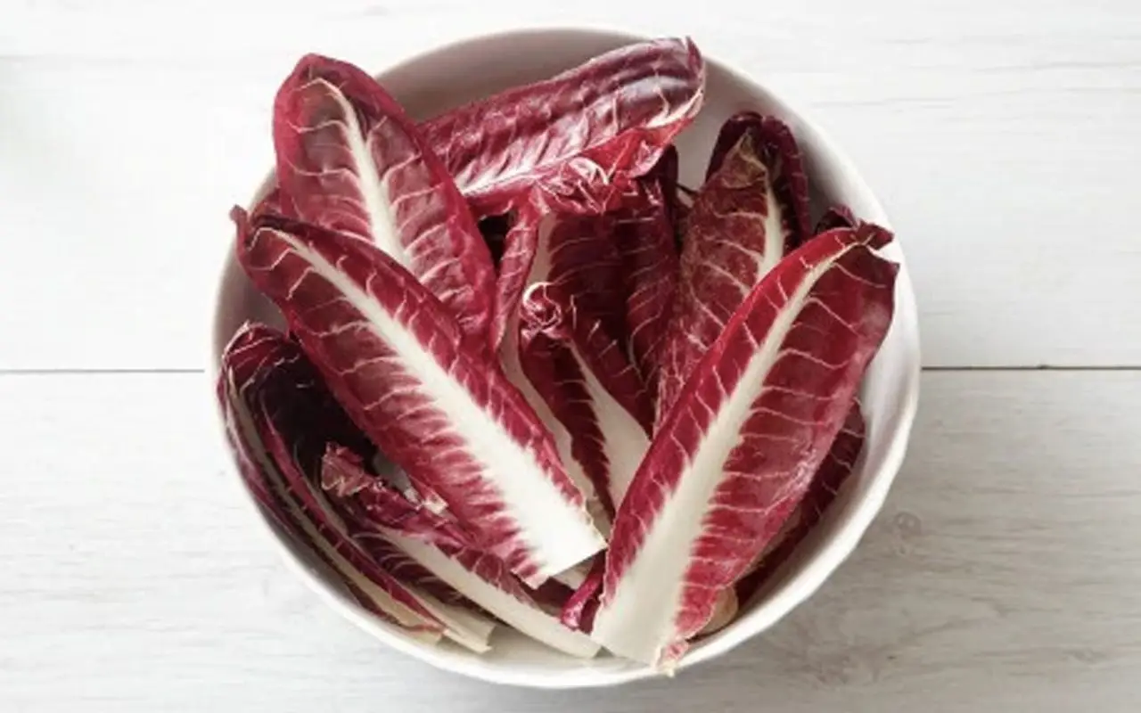 Il trucco per coltivare radicchio croccante e saporito nell’orto o in vaso senza errori