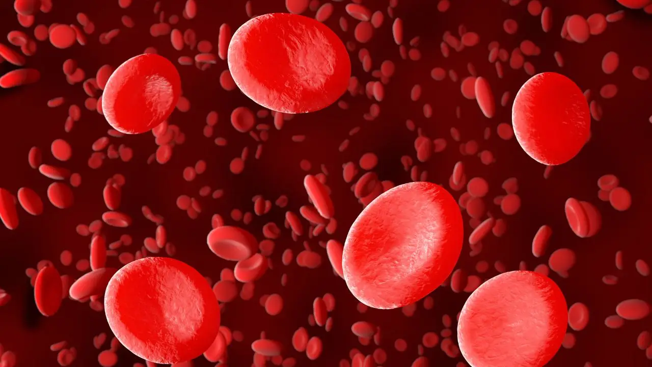 Segni di anemia: attenzione a questi sintomi comuni e spesso trascurati